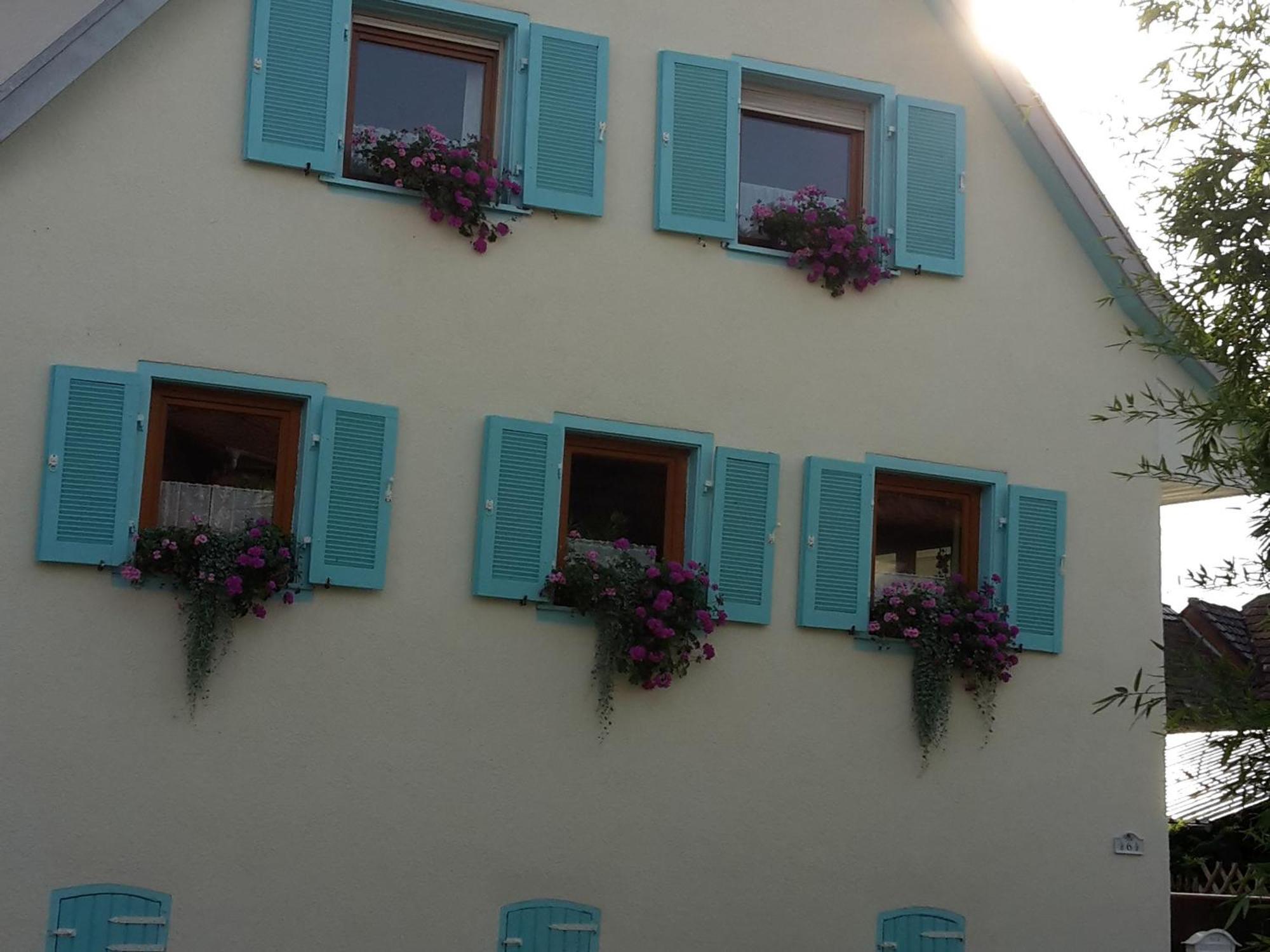 Appartement Rosenhof Broggingen à Herbolzheim Extérieur photo