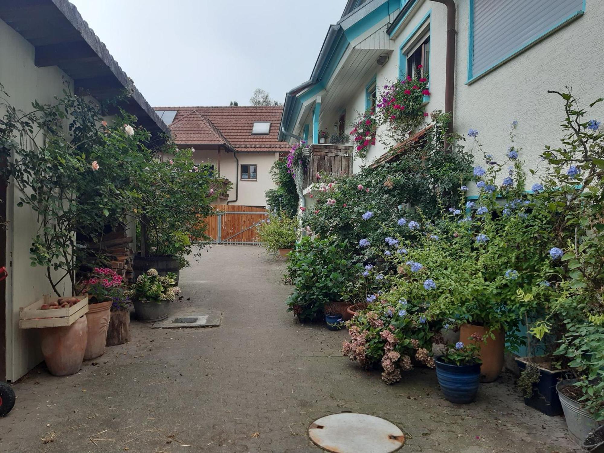 Appartement Rosenhof Broggingen à Herbolzheim Extérieur photo